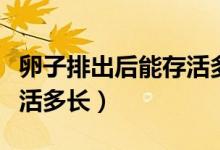 卵子排出后能存活多長時(shí)間（卵子排出后能存活多長）