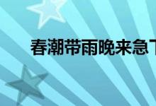 春潮帶雨晚來(lái)急下一句（原文及翻譯）