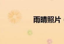 雨晴照片（雨晴陳與義）