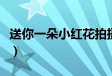 送你一朵小紅花拍攝地（送你一朵小紅花簡(jiǎn)介）