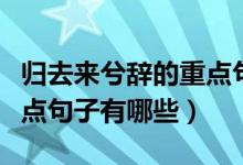 歸去來兮辭的重點句式（歸去來兮辭當(dāng)中的重點句子有哪些）