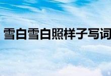 雪白雪白照樣子寫(xiě)詞語(yǔ)（類(lèi)似的詞語(yǔ)有哪些）