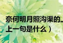 奈何明月照溝渠的上一句（奈何明月照溝渠的上一句是什么）