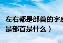 左右都是部首的字應怎樣查字典（右字查字典是部首是什么）