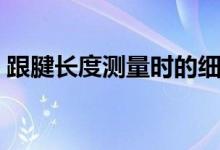 跟腱長度測量時的細(xì)則（跟腱長度測量方法）