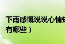 下雨感慨說(shuō)說(shuō)心情短句（表達(dá)雨天心情的句子有哪些）