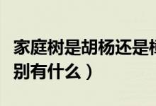 家庭樹是胡楊還是樟子松（胡楊和樟子松的區(qū)別有什么）