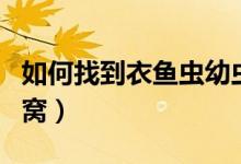如何找到衣魚蟲幼蟲的窩（如何找到衣魚蟲的窩）
