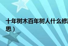 十年樹木百年樹人什么修辭手法（十年樹木百年樹人什么意思）
