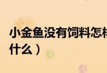 小金魚(yú)沒(méi)有飼料怎樣養(yǎng)活（小金魚(yú)沒(méi)有飼料吃什么）