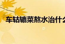 車轱轆菜熬水治什么病（車轱轆菜怎么吃）