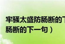 牢騷太盛防腸斷的下一句詩是啥（牢騷太盛防腸斷的下一句）
