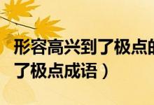 形容高興到了極點的成語是哪個（形容高興到了極點成語）