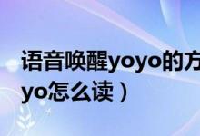 語(yǔ)音喚醒yoyo的方式都有哪些（語(yǔ)音喚醒yoyo怎么讀）