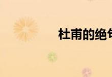 杜甫的絕句(杜甫自號)