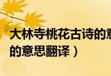 大林寺桃花古詩的意思視頻（大林寺桃花古詩的意思翻譯）