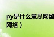 py是什么意思網(wǎng)絡(luò)用語(yǔ)全稱（py是什么意思網(wǎng)絡(luò)）
