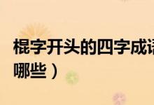 棍字開頭的四字成語(yǔ)（棍字開頭的四字成語(yǔ)有哪些）