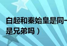 白起和秦始皇是同一時代的嗎（白起和秦始皇是兄弟嗎）