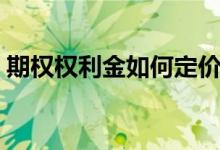期權權利金如何定價（期權權利金如何計算）