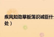疾風(fēng)知?jiǎng)挪莅迨幾R(shí)誠(chéng)臣什么意思（疾風(fēng)知?jiǎng)挪葸@句話出自何處）