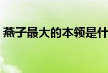 燕子最大的本領是什么（小燕子會什么本領）