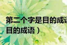 第二個(gè)字是目的成語(yǔ)大全有哪些（第二個(gè)字是目的成語(yǔ)）