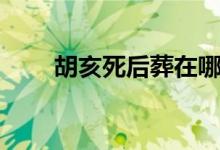 胡亥死后葬在哪（胡亥死后誰繼位）