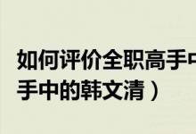 如何評價(jià)全職高手中的劉皓（如何評價(jià)全職高手中的韓文清）