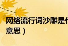 網(wǎng)絡(luò)流行詞沙雕是什么意思（流行語(yǔ)沙雕什么意思）