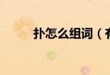 撲怎么組詞（有關撲的組詞介紹）
