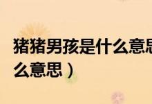 豬豬男孩是什么意思網(wǎng)絡(luò)語(yǔ)言（豬豬男孩是什么意思）