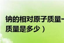 鈉的相對原子質量一般取多少（鈉的相對原子質量是多少）