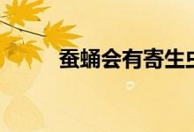 蠶蛹會有寄生蟲嗎（蠶蛹會動嗎）