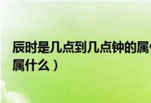 辰時是幾點到幾點鐘的屬什么生肖（辰時是幾點到幾點鐘的屬什么）