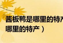 醬板鴨是哪里的特產如何做最好吃（醬板鴨是哪里的特產）