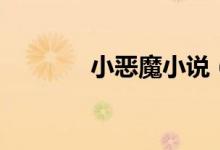 小惡魔小說(shuō)（小惡魔什么梗）
