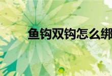魚鉤雙鉤怎么綁圖解（有什么方法）