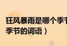 狂風(fēng)暴雨是哪個(gè)季節(jié)的成語（狂風(fēng)暴雨是哪個(gè)季節(jié)的詞語）