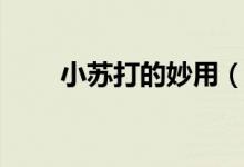 小蘇打的妙用（多種用途的小蘇打）