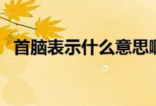 首腦表示什么意思?。ㄊ啄X表示什么意思）