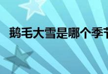 鵝毛大雪是哪個(gè)季節(jié)（鵝毛大雪是成語(yǔ)嗎）