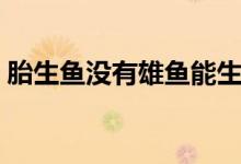 胎生魚(yú)沒(méi)有雄魚(yú)能生小魚(yú)嗎（胎生魚(yú)有哪些）