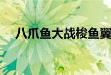 八爪魚大戰(zhàn)梭魚翼龍（八爪魚大米是啥）