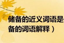儲備的近義詞語是什么要（儲備的近義詞 儲備的詞語解釋）