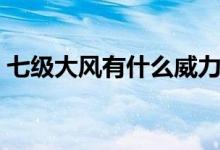 七級(jí)大風(fēng)有什么威力（七級(jí)大風(fēng)有什么危害）