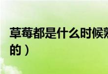 草莓都是什么時(shí)候熟（草莓都是什么時(shí)候上市的）