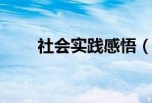 社會(huì)實(shí)踐感悟（社會(huì)實(shí)踐感悟范文）