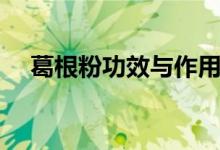 葛根粉功效與作用（葛根粉的作用介紹）