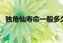 獨角仙壽命一般多久（獨角仙壽命是多少）